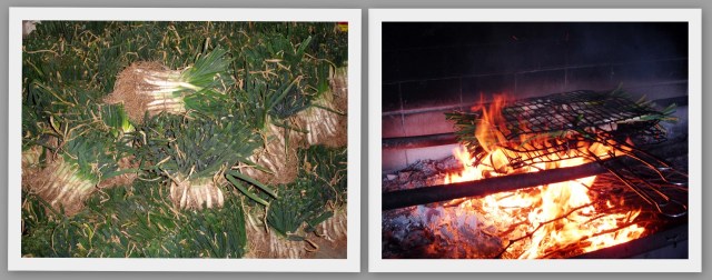 Calçots Parrilla