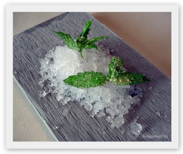 Menta